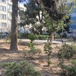 بوستان زیبا