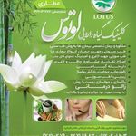 کلینیک لوتوس