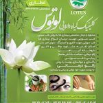 کلینیک لوتوس