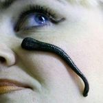 کلینیک لوتوس