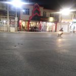 بانک سپه شعبه شهرستان گراش