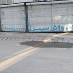 کارواش دلفین