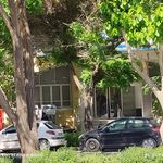 صادرات