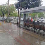 ایستگاه اتوبوس گاز 7