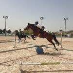 آموزش سوارکاری پرهام