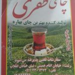 چای بهاره ظفری