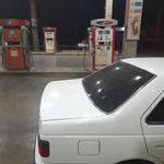 جایگاه اختصاصی شقایق