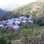 پخش موادغذایی دماوند
