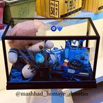 گلسرای همای دوستان