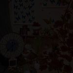 آتلیه کافه عکس ترکان