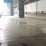 پایانه آزادی