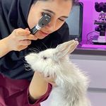 کلینیک دامپزشکی مرکزی(دکتر مریم حیدرلو)
