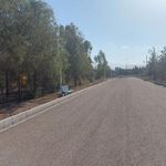 بوستان جنگلی خلیج فارس