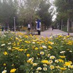 بوستان صبا