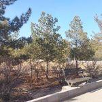 بوستان جنگلی خلیج فارس