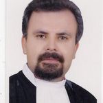 مهدی شاه محمدی
