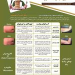 جراحی زیبایی دکتر زند