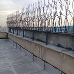 علیرضا یادگاری