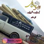 قالیشویی پردیس اوغلی