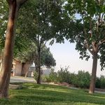 پارک کوهسار