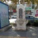سرویس بهداشتی