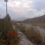 پارک ساحلی دریاچه لواسان