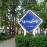 بوستان زنبق