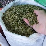 فروش حبوبات اعلا