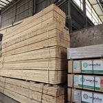 جهان چوب محب