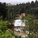 باغ پرندگان