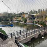 باغ پرندگان