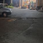 میوه سرای چهار فصل نارنج
