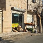 میوه سرای چهار فصل نارنج