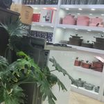 ویوا شاپ