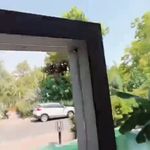 رستوران مجمع