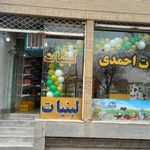 فرآورده های لبنی احمدی