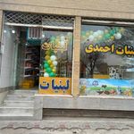 فرآورده های لبنی احمدی