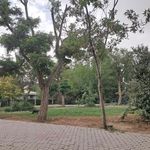 سرویس بهداشتی بوستان پرستو