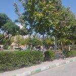 بوستان آلاله