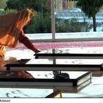 مقبرة الشهدای دانشگاه امام حسین (ع)