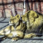 دهکده حیات طبیعت قزوین