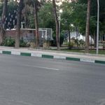 سرویس بهداشتی
