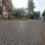 بوستان کاج