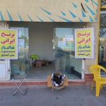 پخش مواد غذایی نوفرستی