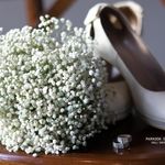 گلسرای نیلوفر آبی