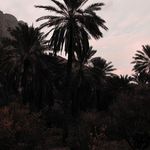 روستای توتنگ هماگ