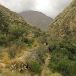 روستای توتنگ هماگ