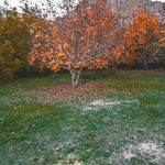 روستای توتنگ هماگ