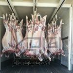 تأمین گوشت و مرغ