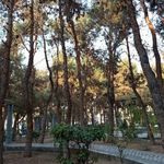 بوستان صبا